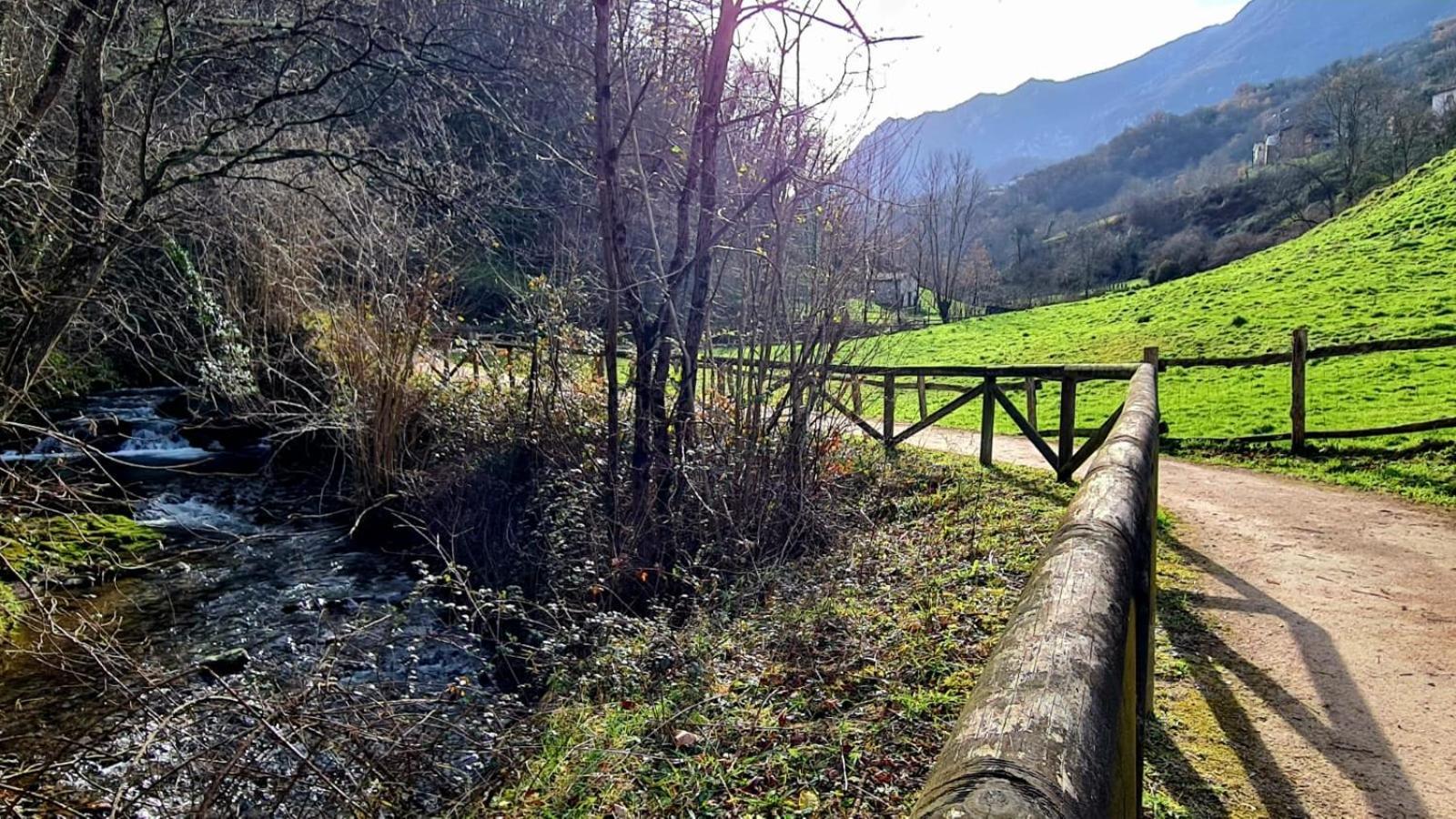 Cal Gallo Riosa Bagian luar foto